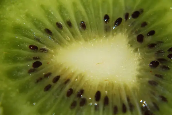 Kiwi Verde Fructe Tropicale — Fotografie, imagine de stoc