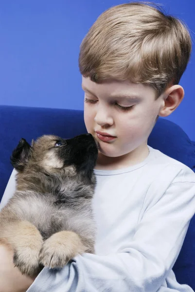 可愛い子犬犬の風景 — ストック写真