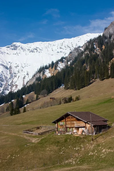 Альпійський Пейзаж Засніжених Альпах — стокове фото