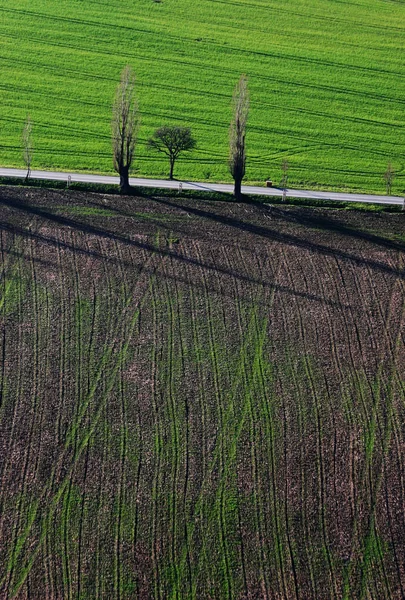 Сільське Поле Фермерські Землі — стокове фото
