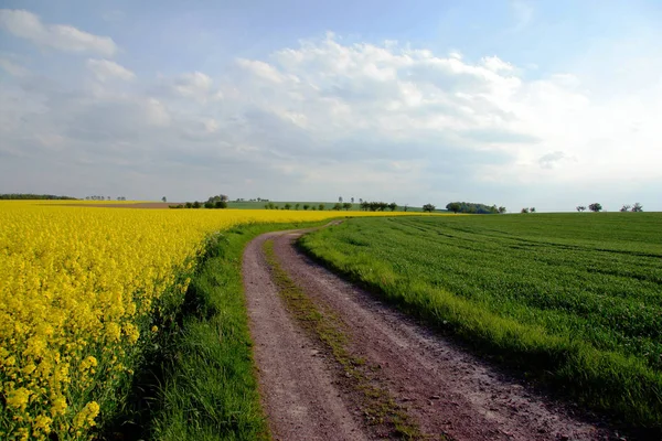 Modo Attraverso Primavera — Foto Stock