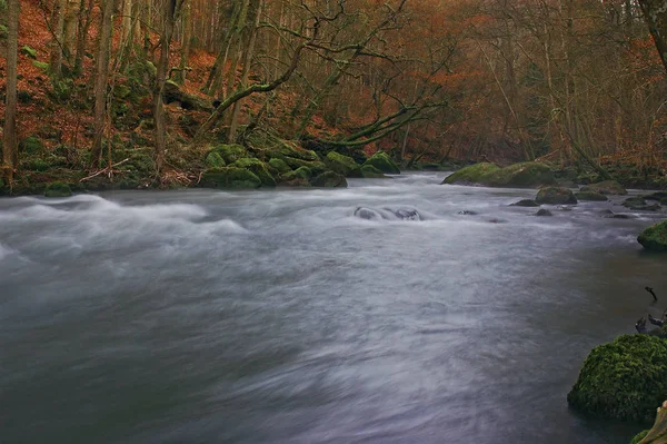 Bella Vista Della Scena Della Natura — Foto Stock