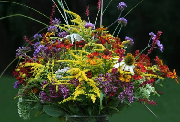 Nahaufnahme Von Schönen Sommerblumen — Stockfoto