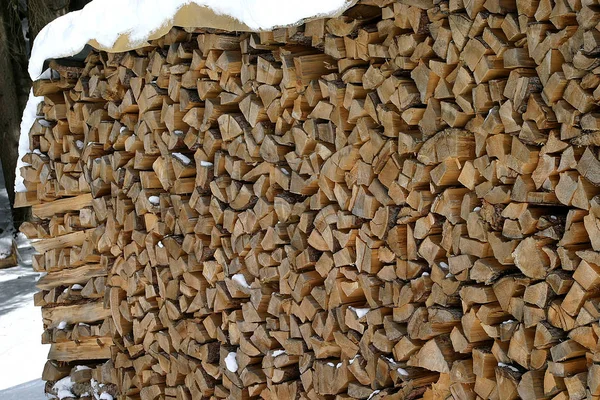 Baumstämme Holz Brennholz Stamm — Stockfoto