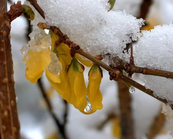 Das War Mit Dem Frühlingsanfang Nehmen Sie Ein Wenig Sonne — Stockfoto