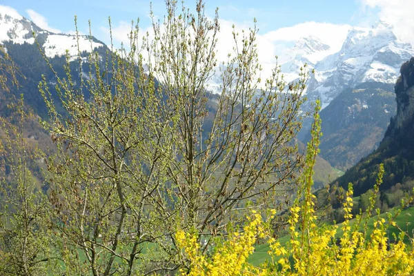 Bella Vista Del Paesaggio Naturale — Foto Stock