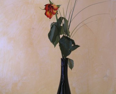 this rose has asked my wife after a long business trip on the nightstand. was also from the rose already faded i could not part with it myself. and then i had to banish definitely still in photo. clipart