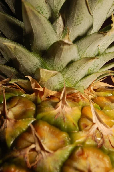 Ananas Tropiska Sommarfrukter — Stockfoto