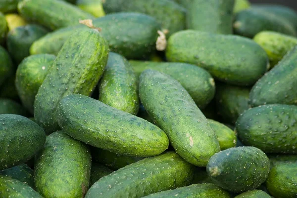 Vegetarische Kost Selektiver Fokus — Stockfoto