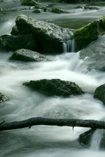 美しい自然景観を背景に — ストック写真