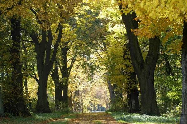 Schöne Aussicht Auf Den Ländlichen Raum — Stockfoto