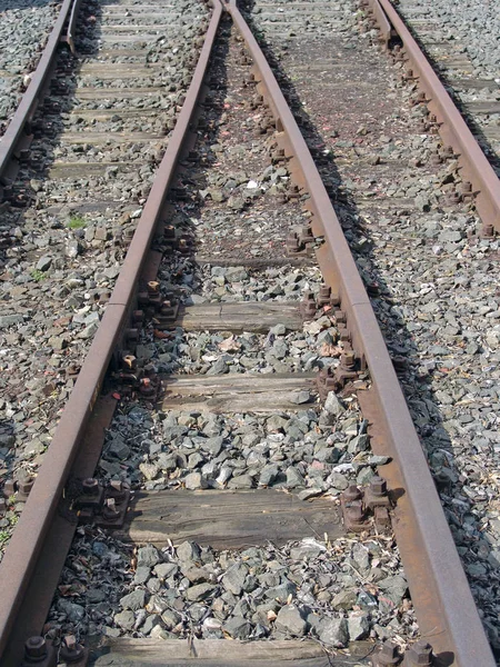 Railway Track Spring — Stock Photo, Image