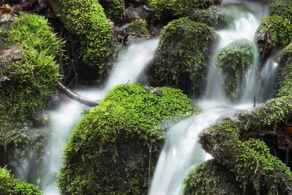 Waterfall Nature River Water Flow — Stock Photo, Image