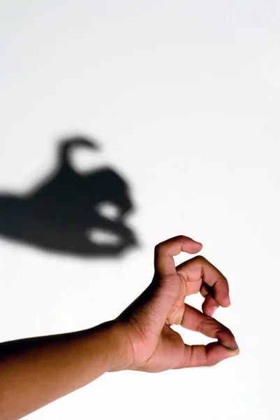 Mano Sosteniendo Pueblo Blanco Negro Sobre Fondo Claro — Foto de Stock