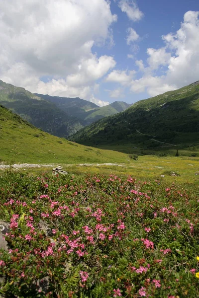 Vista Panorámica Del Majestuoso Paisaje Los Alpes —  Fotos de Stock