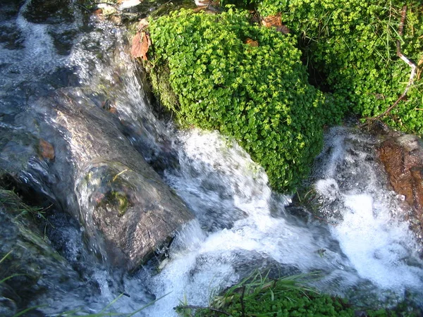Krása Přírody Říčního Toku Vodopádu — Stock fotografie