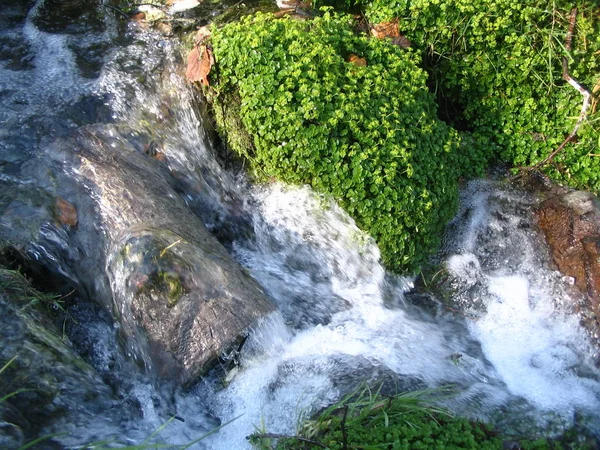 Naturens Skönhet Flodflöde Och Vattenfall — Stockfoto