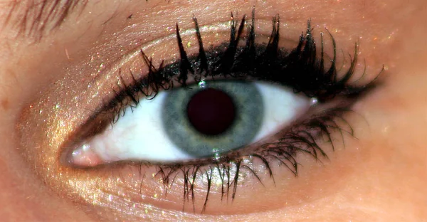 Nahaufnahme Eines Weiblichen Auges Mit Einer Grünen Iris — Stockfoto