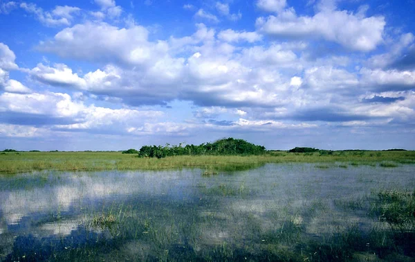 Hermosa Vista Del Paisaje Fluvial — Foto de Stock