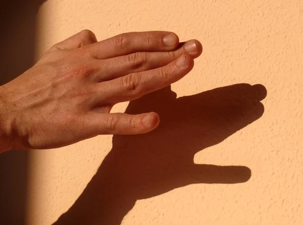Mão Segurando Pedaço Papel — Fotografia de Stock