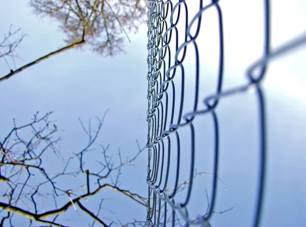 春の鉄条網柵 — ストック写真