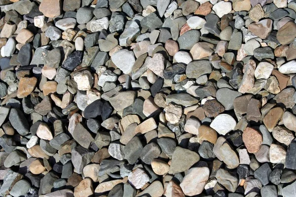 Piedras Guijarros Playa Rocas — Foto de Stock