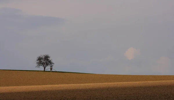 Prachtig Uitzicht Het Platteland — Stockfoto