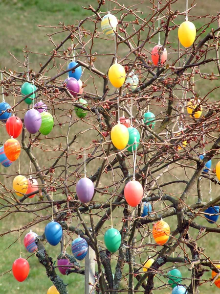 Holiday Colorful Concept Happy Easter Decorations — Stock Photo, Image