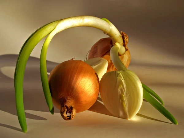 Close Food Selective Focus — Stock Photo, Image