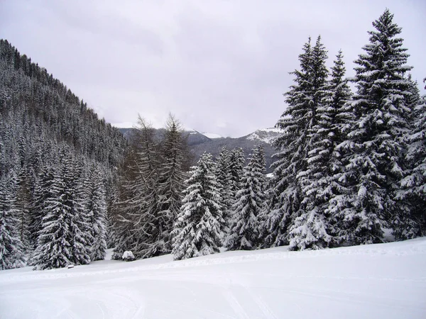 Vista Panorámica Del Majestuoso Paisaje Dolomitas Italia — Foto de Stock