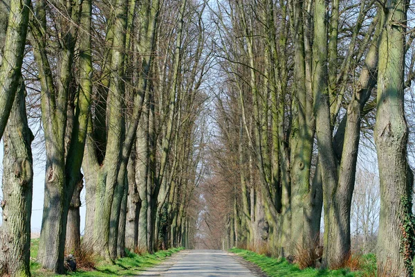 Piękny Widok Scenę Natury — Zdjęcie stockowe