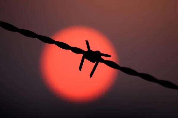 Barbed Wire Background Sky — Stock Photo, Image