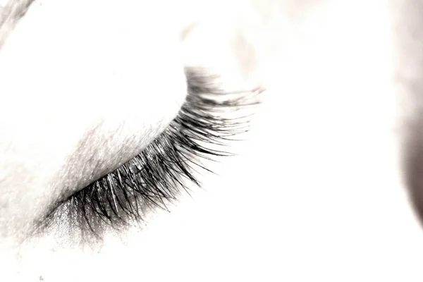 Close Female Eye Black Mascara — Stock Photo, Image