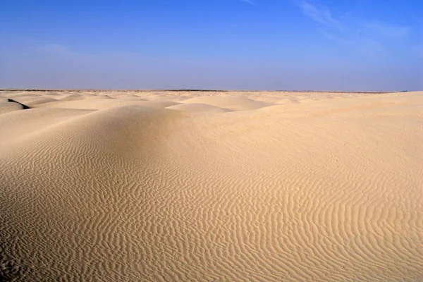 Ζεστό Καλοκαίρι Στην Αμμώδη Έρημο Αμμόλοφο Τοπίο — Φωτογραφία Αρχείου