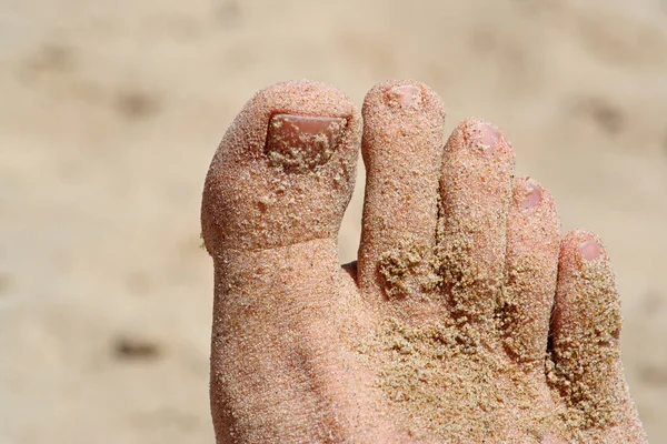 Pés Humanos Areia — Fotografia de Stock