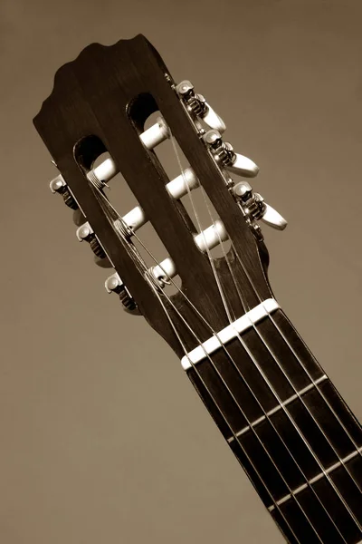 Guitare Classique Instrument Musique — Photo