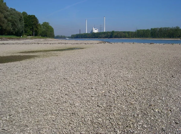 Dried Rhine Maxau — Stock Photo, Image