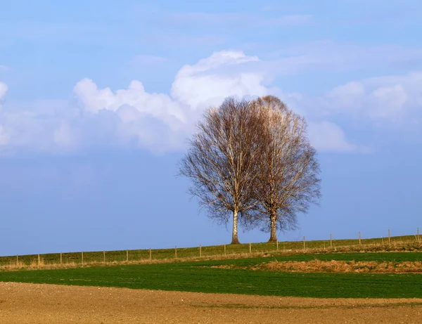 Scenisk Syn Relationsbegreppet — Stockfoto