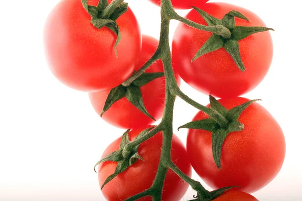 新鮮な赤い熟したトマト — ストック写真