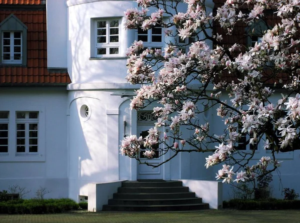 Andere Architektur Selektiver Fokus — Stockfoto