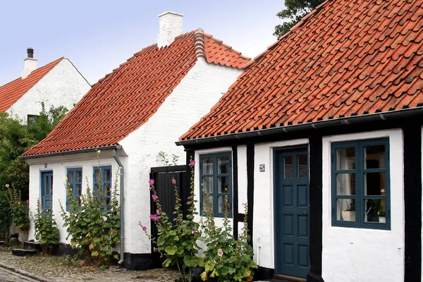 エベルトフトというデンマークの町にある歴史的なアイドルは — ストック写真