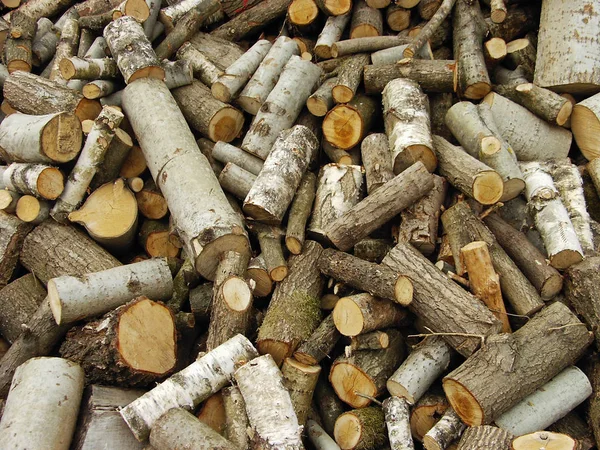 Brennholz Holzstapel Rundholz — Stockfoto