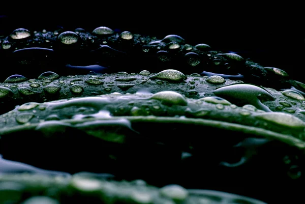 Kapky Vody Voda Stříkající — Stock fotografie