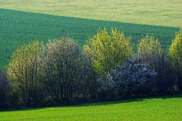 Krásný Výhled Venkovskou Oblast — Stock fotografie