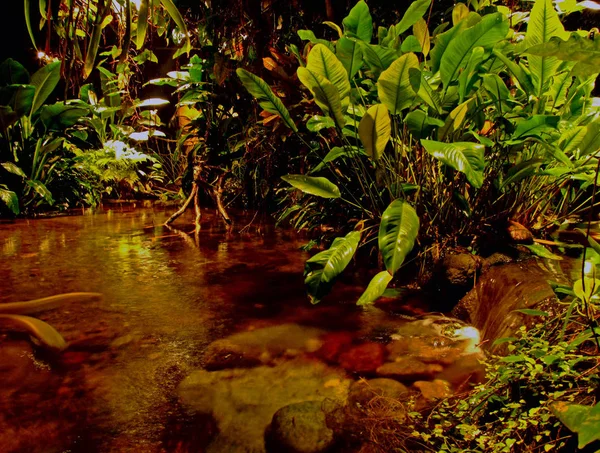 ミニチュアの熱帯雨林 Noneはアクエリア ストックホルムにあります — ストック写真