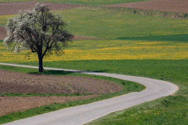 Vacker Utsikt Över Naturen Landskap — Stockfoto