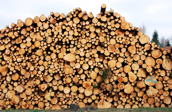 Holzstruktur Des Holzstapels — Stockfoto