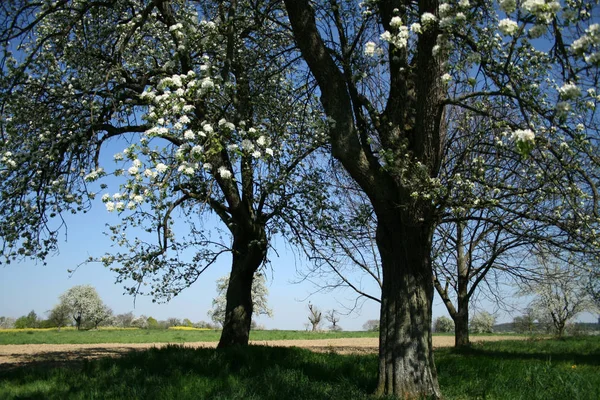 Schöne Aussicht Auf Den Ländlichen Raum — Stockfoto