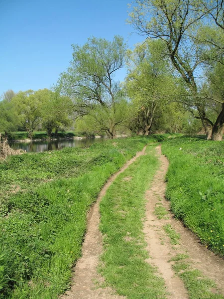 Landstraße Ländlicher Landschaft — Stockfoto