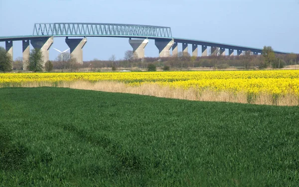 橋の建築物の景観 — ストック写真